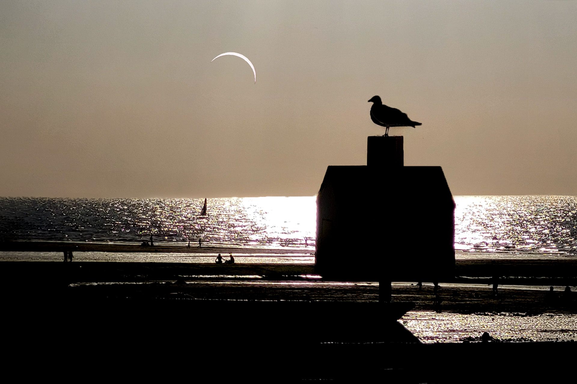 Rendez vous avec l'éclipse.2
